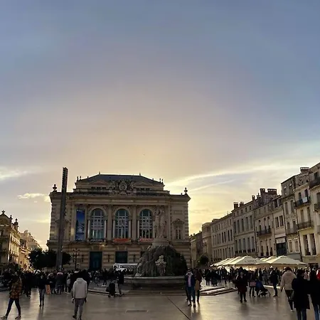 Grand Cosy Au Coeur De * Montpellier