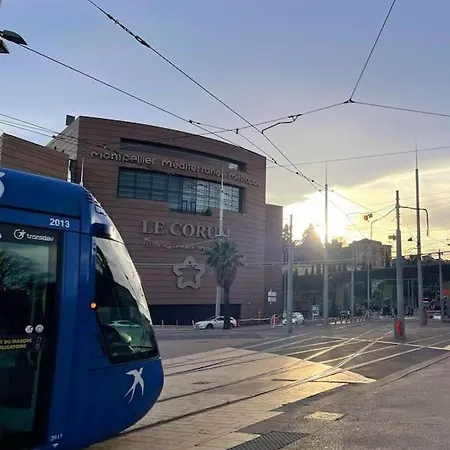 Grand Cosy Au Coeur De Montpellier